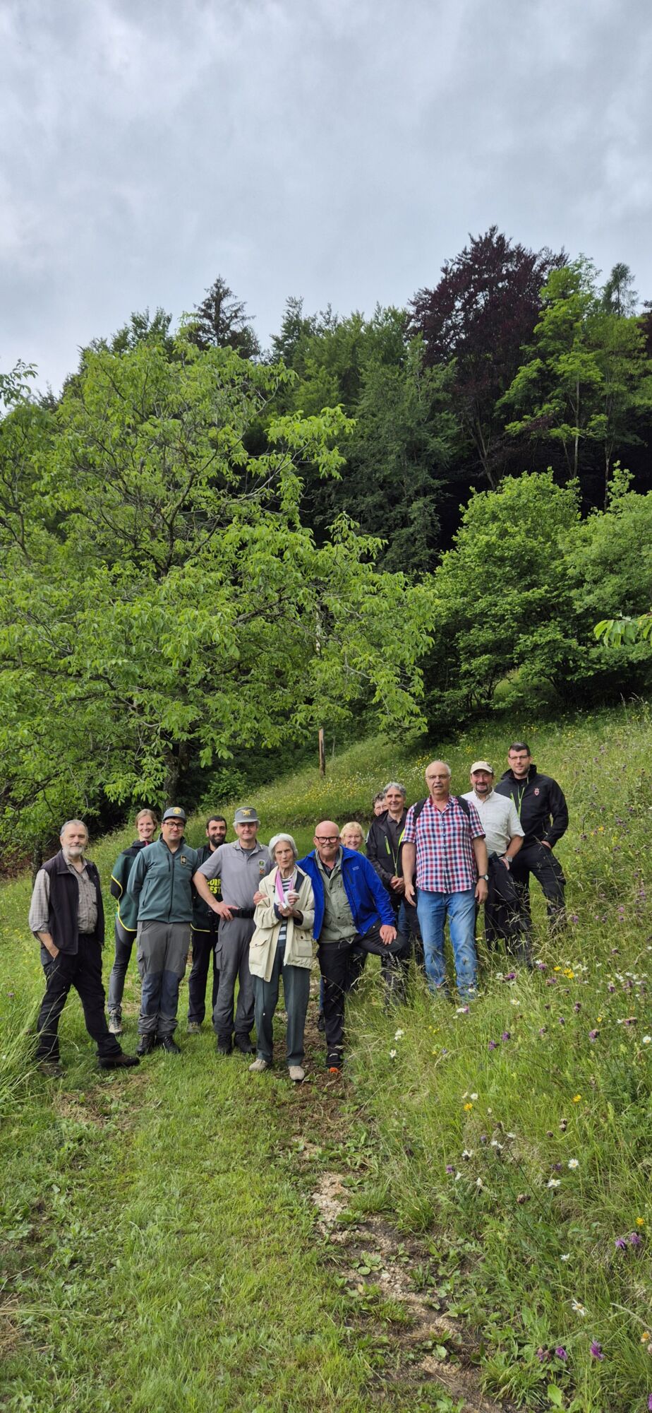 Teffen im Wald mit den italienischen Forstfreunden